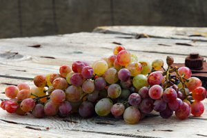 Россия может потерять до 50% урожая винограда