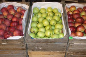 Москва выставила на продажу столичные рынки
