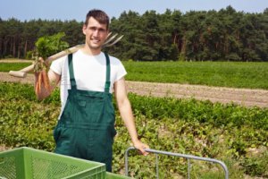 Agrotech-2013 - уникальная программа для студентов