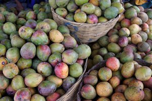 Москва: тенденция снижения цен на манго