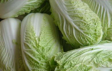 Цены на пекинскую капусту держатся близко к среднему уровню