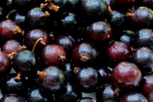Ещё есть желающие купить смородину, но…