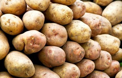 Картофель без улучшений, зато снова под усиленным давлением