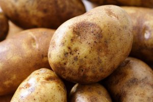Минимальное улучшение цен на картофель, но ситуация по-прежнему плохая