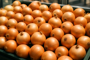 Импорт и оптовые цены на лук в Польше: голландский продукт доминирует