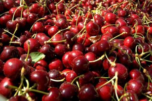 Сезон польской черешни на финишной прямой