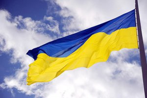 Госстат Украины: рентабельность сельхозпроизводства в 2014 году выросла на 26% 