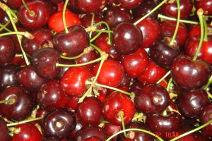 Польша: каким будет сезон вишни?
