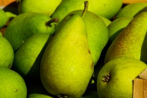 В Самаре Управление Россельхознадзора изъяло на овощной базе партию груш, запрещенных к ввозу на территорию РФ