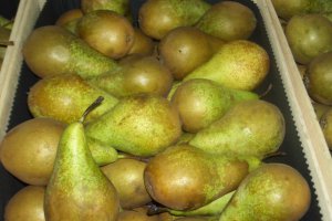 В Москве изменились оптовые цены на груши