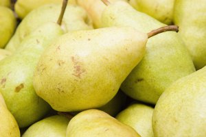 Кто занимает первое место по экспорту груш?