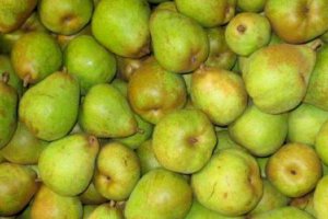 Польша: низкий спрос на промышленные груши
