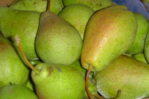 Польша: начинается торговля грушей Лукас