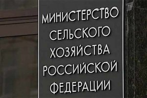 Минсельхоз РФ разработал проект постановления об уничтожении санкционных продуктов