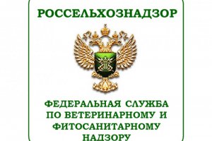 Россельхознадзор советует импортерам строить логистику поставок в РФ в обход Украины