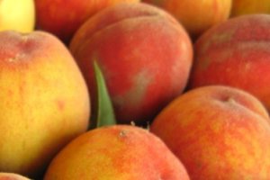 Москва: анализ цен на freshmarket.ru (01.08. – 05.08.2011)