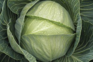 Москва: анализ цен на freshmarket.ru (11.07. – 15.07.2011)