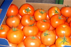 Москва: анализ цен на freshmarket.ru (22.08-26.08.2011)