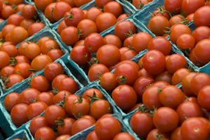 Москва: анализ цен на freshmarket.ru (25.07. – 29.07.2011)