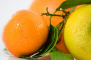 Пакистан расширяет свое присутствие на российском рынке цитрусовых