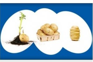 Ежегодный Конгресс «Europatat 2012» пройдет в Голландии 