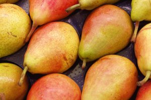 Россия: рост импорта груши из стран ЕС
