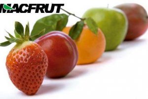 Бизнес-тур в рамках поездки на Macfrut 2013 c 