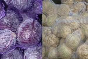 Производство овощей в Украине может вернуться к уровню дефицитного 2010 года -мнение