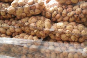  Эстонские фермеры планируют заработать на продаже картофеля России