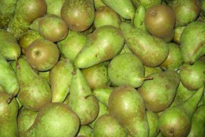 В Москве снизились цены на грушу Конференц