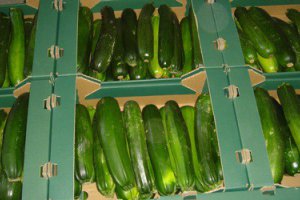 На польском рынке снизились цены на цуккини