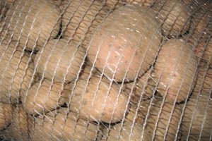 Овощи и фрукты в Украине продолжают дешеветь