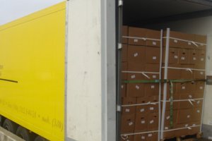 Таможенники РФ вернулись к рутинному формату оформления украинских грузов – Миндоходов Украины