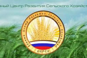 С 1 августа фермеры России получили новую площадку для торговли в Интернете