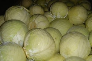 В Украине негде хранить овощи
