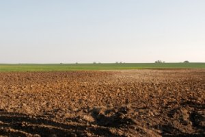 Польские экспортёры остались одни со своими проблемами